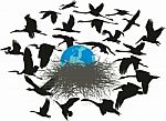 Birds Rescue The Planet Earth Stock Photo