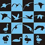 Black And Blue Background With Swans Stock Photo