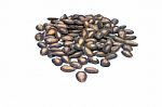 Black Melon Seeds Stock Photo