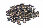 Black Melon Seeds Stock Photo