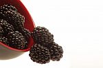 Blackberries Stock Photo