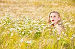 Blond Girl On The Camomile Field Stock Photo