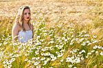 Blond Girl On The Camomile Field Stock Photo