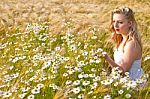 Blond Girl On The Camomile Field Stock Photo