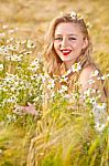 Blond Girl On The Camomile Field Stock Photo