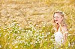 Blond Girl On The Camomile Field Stock Photo