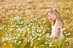 Blond Girl On The Camomile Field Stock Photo