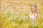 Blond Girl On The Camomile Field Stock Photo