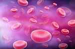 Blood Cells Stock Photo