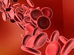 Blood Cells Stock Photo