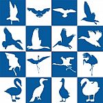 Blue And White Background With Aquatic Birds Stock Photo