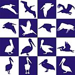 Blue And White Background With Pelican Stock Photo