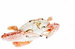 Blue Crab,isolated On White Background Stock Photo