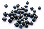 Blueberries Stock Photo