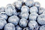 Blueberries Isolated Stock Photo