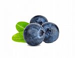 Blueberry Isolated On The White Background Stock Photo