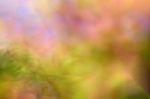 Blur Autumn Leaves Background Stock Photo