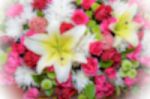 Blur Background Colorful Flower Stock Photo