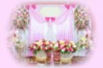 Blur Background Of Flower Arch For Wedding Stock Photo