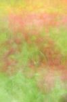 Blurred Floral Field Background. Blurred Nature Background Stock Photo