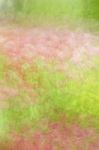 Blurred Pink Floral Field Background. Blurred Nature Background Stock Photo