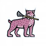 Bobcat Or Lynx Lacrosse Mascot Stock Photo