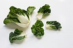 Bok Choy On White Background Stock Photo