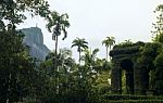 Botanical Garden In Rio De Janeiro, Brazil Stock Photo