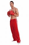 Boxer Stock Photo