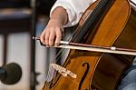 Boy Plays Cello Stock Photo