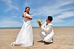 Bride And Groom Stock Photo