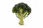 Broccoli Floret Stock Photo