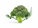 Broccoli Vegetable Isolated On White Background Stock Photo