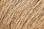 Brown Dry Grass Background Stock Photo