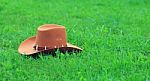 Brown Stetson On Green Grass Stock Photo