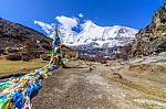 Buddhist Prayer Flags The Holy Traditional Flag Along Site The W Stock Photo