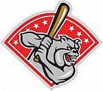 Bulldog Baseball Hitter Batting Cartoon Stock Photo