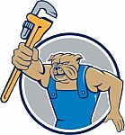 Bulldog Plumber Monkey Wrench Circle Cartoon Stock Photo