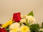 Bunch Of Vivid Flowers, Selective Focus Red Roses.  Stock Photo