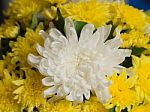 Bunch Of Vivid Flowers, Selective Focus White Chrysanthemums Stock Photo