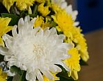 Bunch Of Vivid Flowers, Selective Focus White Chrysanthemums Stock Photo