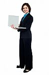 Business Executive Browsing On Laptop Stock Photo