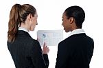 Business Ladies Reviewing Documents Stock Photo