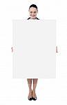 Business Lady Holding Big Banner Stock Photo