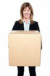 Business Lady Holding Packed Carton Stock Photo