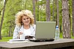 Business Lady Using Laptop In Park Stock Photo