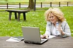 Business Lady Using Laptop In Park Stock Photo