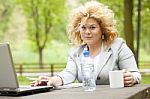 Business Lady Using Laptop In Park Stock Photo