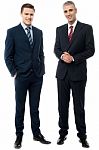 Business People Posing In Style Stock Photo