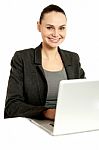 Business Professional Operating Laptop Stock Photo